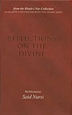 bokomslag Reflections on the Divine