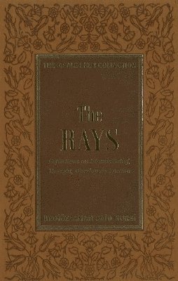 The Rays 1