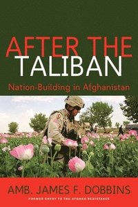 bokomslag After the Taliban