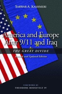 bokomslag America and Europe After 9/11 and Iraq