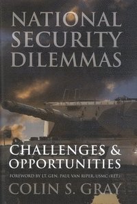 bokomslag National Security Dilemmas