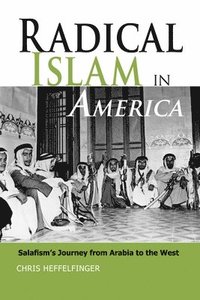 bokomslag Radical Islam in America