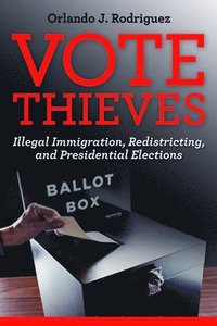 bokomslag Vote Thieves