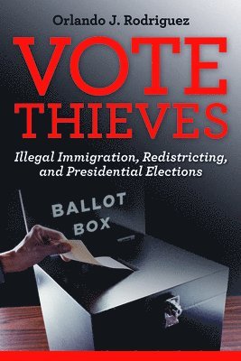 Vote Thieves 1