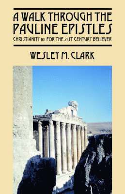 bokomslag Walk Through The Pauline Epistles