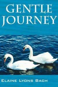 bokomslag Gentle Journey