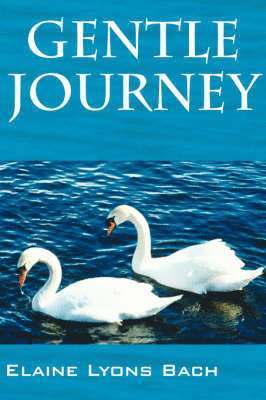 bokomslag Gentle Journey