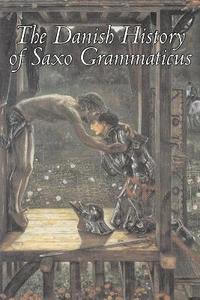 bokomslag The Danish History of Saxo Grammaticus