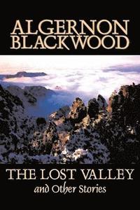 bokomslag Lost Valley and Other Stories