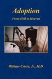 bokomslag Adoption: From Hell to Heaven