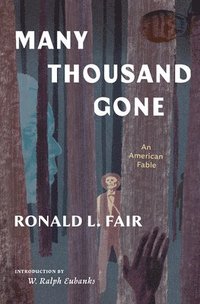 bokomslag Many Thousand Gone: An American Fable