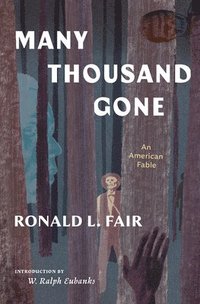 bokomslag Many Thousand Gone: An American Fable