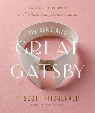 bokomslag The Annotated Great Gatsby