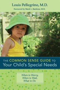 bokomslag The Common Sense Guide to Your Child's Special Needs