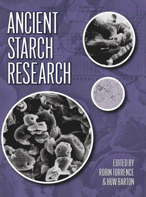 bokomslag Ancient Starch Research