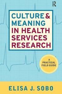 bokomslag Culture and Meaning in Health Services Research