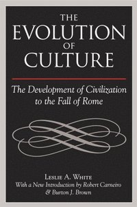 bokomslag The Evolution of Culture