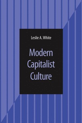 bokomslag Modern Capitalist Culture