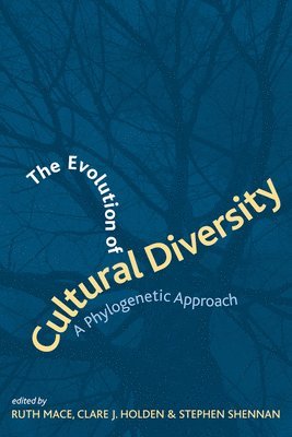 The Evolution of Cultural Diversity 1