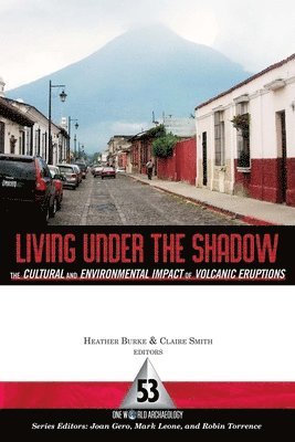 bokomslag Living Under the Shadow