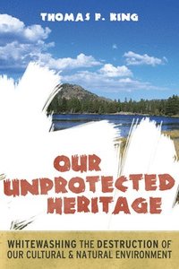 bokomslag Our Unprotected Heritage