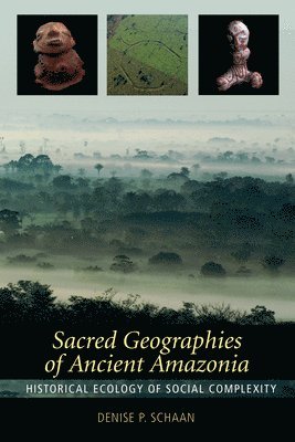 Sacred Geographies of Ancient Amazonia 1