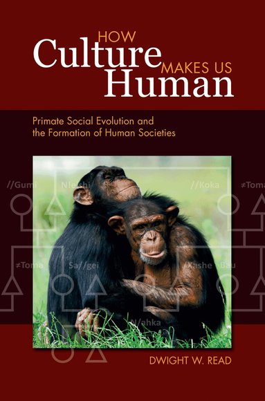 Dwight W Read - How Culture Makes Us Human, Inbunden