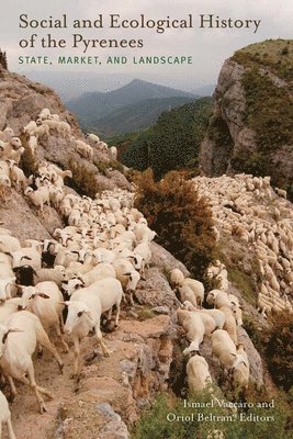 bokomslag Social and Ecological History of the Pyrenees