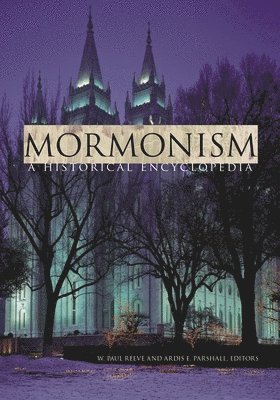 bokomslag Mormonism