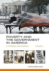 bokomslag Poverty and the Government in America