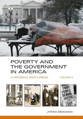 bokomslag Poverty and the Government in America