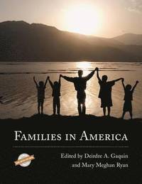 bokomslag Families in America