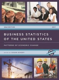 bokomslag Business Statistics of the United States 2017: Patterns of Economic Change