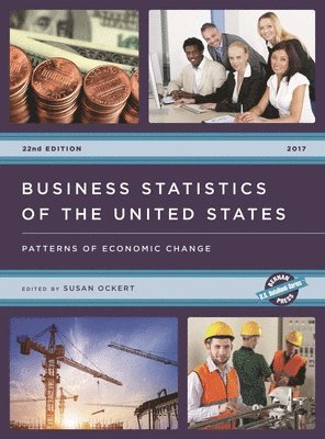 bokomslag Business Statistics of the United States 2017: Patterns of Economic Change