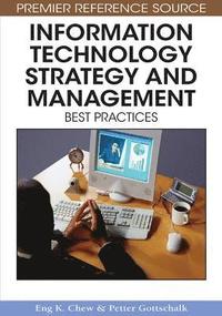 bokomslag Information Technology Strategy and Management: Best Practices