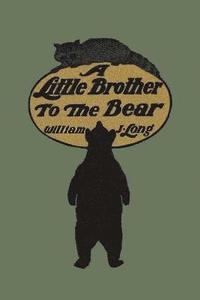 bokomslag A Little Brother to the Bear