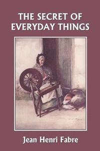 bokomslag The Secret of Everyday Things (Yesterday's Classics)