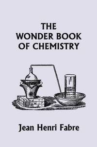 bokomslag The Wonder Book of Chemistry (Yesterday's Classics)