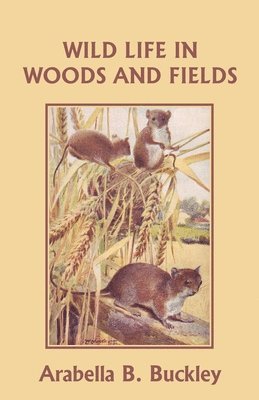 Wild Life in Woods and Fields (Yesterday's Classics) 1