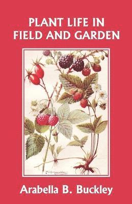 Plant Life in Field and Garden (Yesterday's Classics) 1