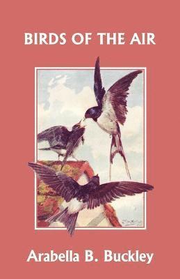 Arabella B. Buckley - Birds of the Air (Yesterday's Classics), Häftad