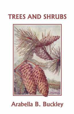 Arabella B. Buckley - Trees and Shrubs (Yesterdays Classics), Häftad