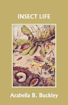Arabella B Buckley - Insect Life (Yesterday's Classics), Häftad