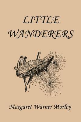 bokomslag Little Wanderers, Illustrated Edition (Yesterday's Classics)