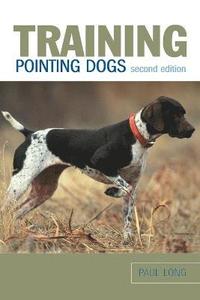 bokomslag Training Pointing Dogs