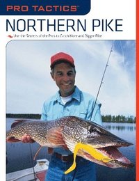 bokomslag Pro Tactics: Northern Pike