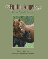 bokomslag Equine Angels