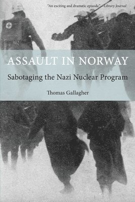 Thomas Gallagher - Assault in Norway, Häftad