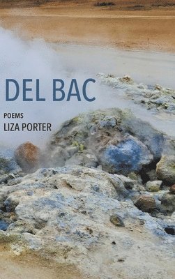 Liza Porter - Del Bac, Inbunden