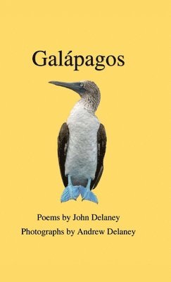 John Delaney - Galápagos, Inbunden
